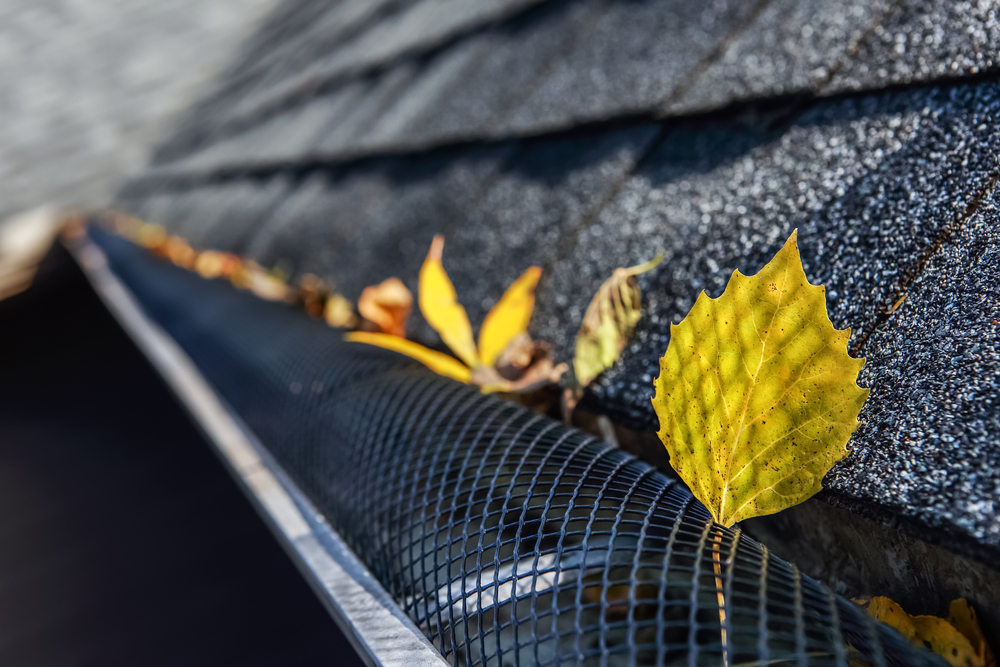 Benefits of Gutter Guards for Your Home