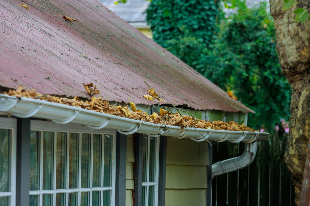 Top 5 Spring Maintenance Tips to Protect Your Roof in Lodi, CA