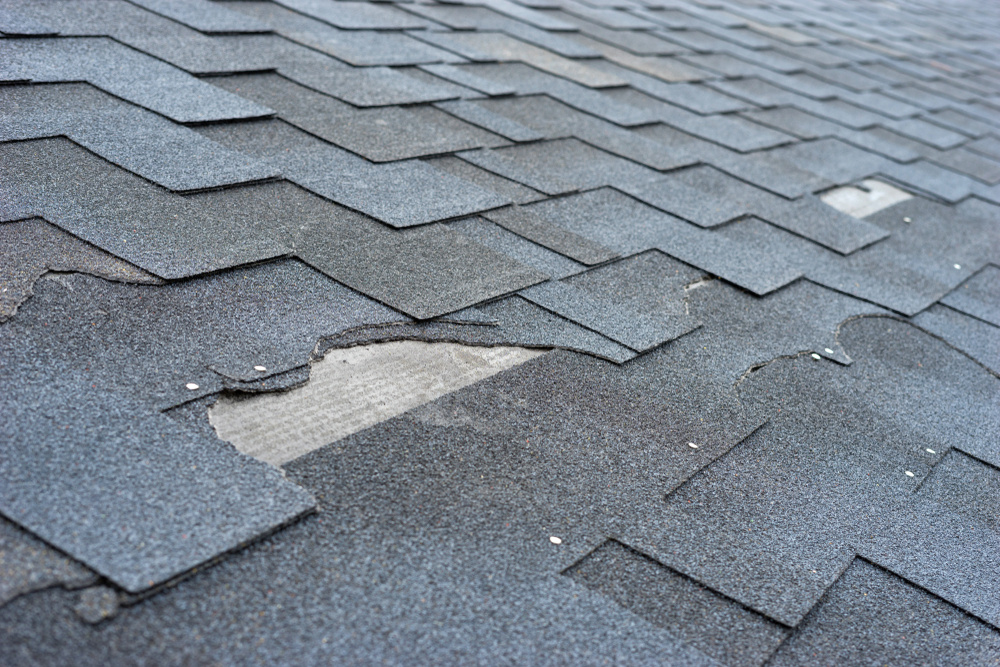 Common Roof Repair Issues in Lodi, CA: What Homeowners Need to Know