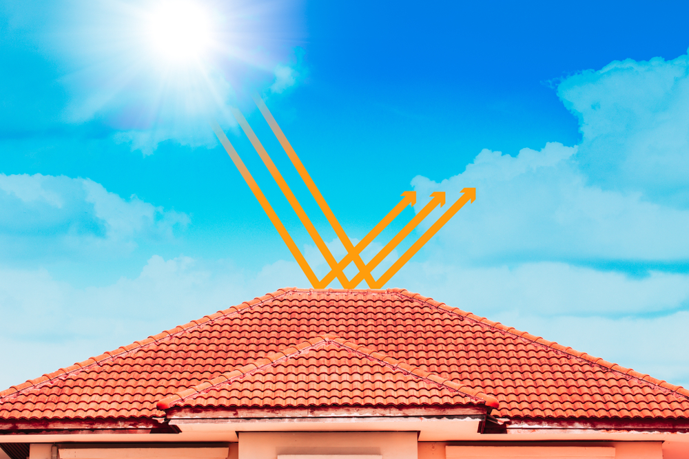How to Protect Your Lodi Roof from Heat and Dry Rot Damage